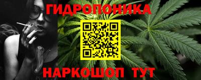 твердый Новодвинск