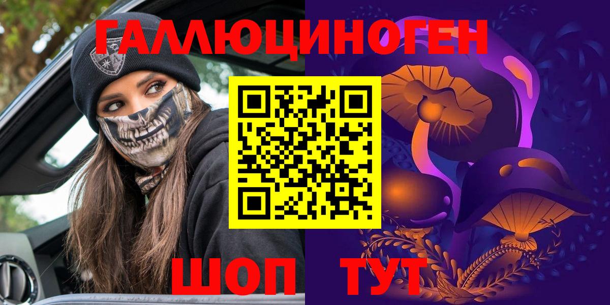Новомосковск  Псилоцибиновые грибы Psilocybine cubensis  Вход с VPN 